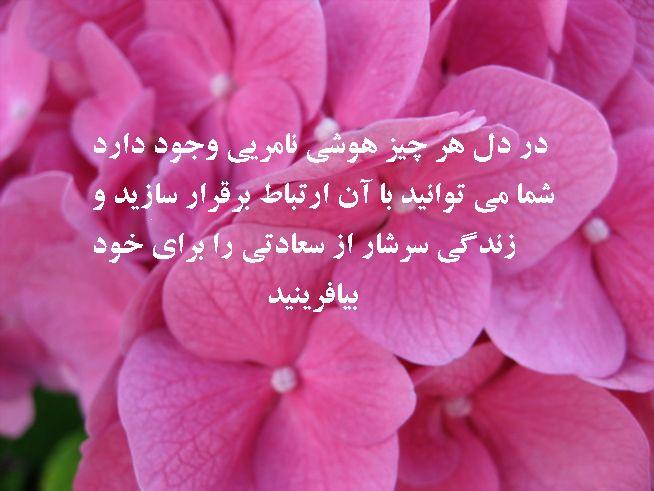 برای بدست آوردن خوشبختی افکار و احساسات مثبت را جذب کنید